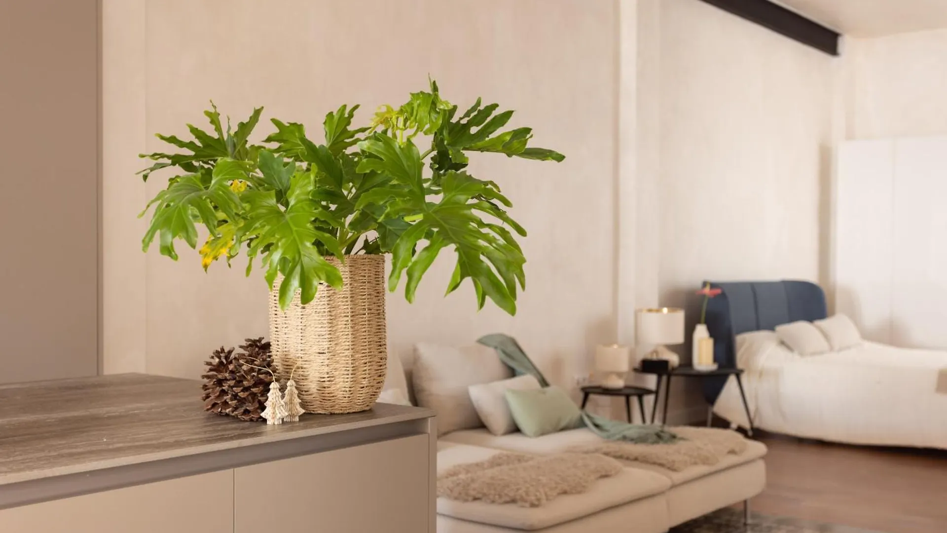 Apartment Eden Rentals Luxury Premier Penthouse Santa Cruz de Tenerife